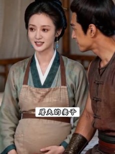 短剧《抬错花轿，尚书娇女配屠夫》45集短剧全集在线免费畅享