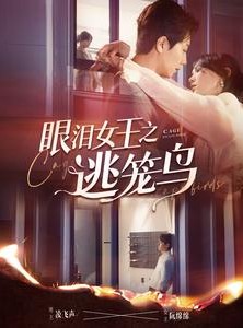 短剧《眼泪女王之逃笼鸟》89集短剧官方正版在线观看支持正版