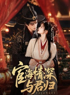 短剧《宦海情深与君归》60集短剧免费观看全集无广告