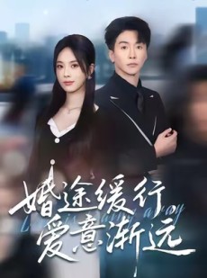 短剧《婚途缓行，爱意渐远》60集短剧高清画质畅享观看
