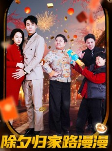 短剧《除夕归家路漫漫》35集短剧高清流畅在线观看