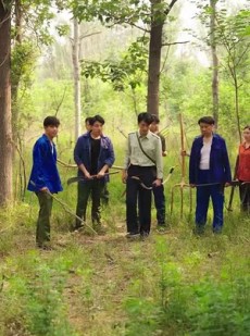 短剧《重生60年代嫂子介绍外国老婆》80集短剧高清流畅在线观看