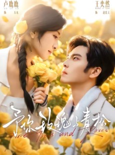 短剧《予你玫瑰与青松》95集短剧超清画质在线追剧