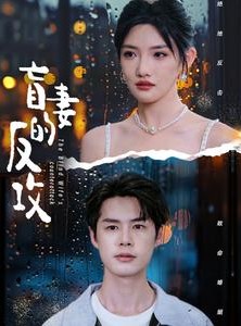 短剧《盲妻的反攻》88集短剧极速播放流畅体验