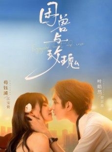 短剧《困兽与玫瑰》90集短剧在线观看直通大结局