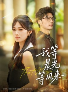 短剧《我等晨光等风来》70集短剧高清流畅免费观影
