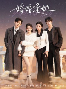短剧《婚婚逢她》59集短剧全剧集免费高清看