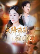 短剧《天降萌孙被团宠了》60集短剧高清全集免费观赏