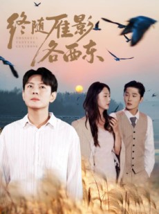 短剧《终随雁影各西东》86集短剧在线解锁全集畅看