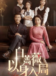 短剧《白蔷薇以身入局》82集短剧高清流畅在线免费观看