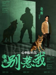 短剧《心率临界点谁都别惹我》96集短剧全集解锁独家奉献