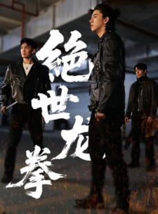 短剧《绝世龙拳》32集短剧全集高清在线免费畅享