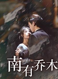 短剧《南有乔木》60集短剧蓝光画质无广告观看