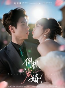 短剧《伺机宠婚》80集短剧免费在线看全集大结局