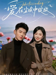 短剧《爱在尘埃中绽放》86集短剧超清画质免费观看全集