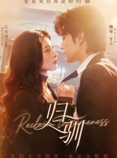 短剧《归驯》82集短剧免费在线追全集