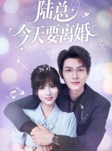 短剧《陆总今天要离婚》81集短剧在线看全集不卡顿