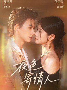 短剧《夜色寄情人》108集短剧高清流畅在线免费看