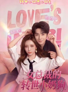 短剧《女总裁的转世小奶狗》30集短剧完整版免费畅享