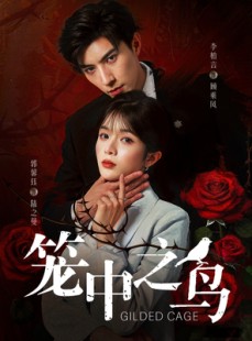 短剧《笼中之鸟》70集短剧手机专享版全集免费看