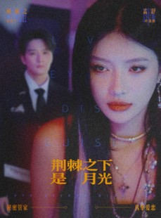 短剧《鸳鸯相抱何时了》66集短剧完整高清免费观看