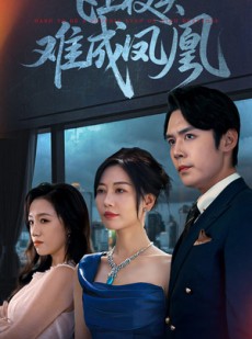 短剧《飞上枝头难成凤凰》47集短剧超清画质全集免费观