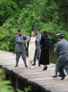 短剧《暮然回首不见君》76集短剧高清全集立即观看