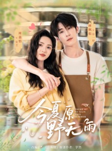短剧《今夏原野无雨》70集短剧在线解锁无广告观看