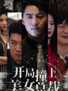 短剧《开局撞上美女总裁》95集短剧高清全集随时随心看