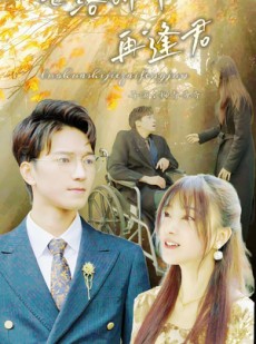 短剧《落花时节再逢君》82集短剧高清流畅在线观看