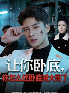 短剧《让你卧底，你怎么还卧成大哥了》80集短剧无删减在线观看