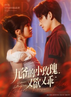 短剧《九爷的小玫瑰又欲又乖》80集短剧全集无广告在线观看