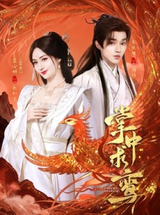 短剧《掌中求鸾》80集短剧在线免费看完整剧情