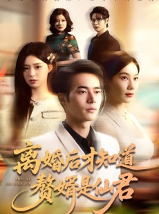 短剧《离婚后才知道赘婿是仙君》66集短剧高清完整版免费观看