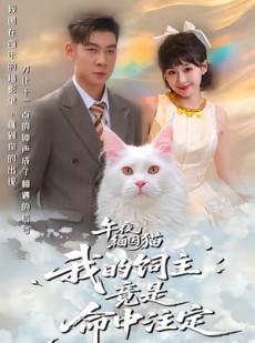 短剧《午夜缅因猫我的饲主竟是命中注定》66集短剧完整版免费在线观看