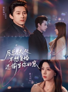 短剧《厉总，夫人不想复婚还偷生你的崽》80集短剧全集流畅在线看