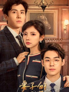 短剧《妻子的绝境反击》81集短剧高清流畅在线免费看