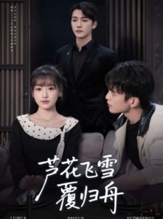 短剧《芦花飞雪覆归舟》77集短剧超清画质免费观看全集