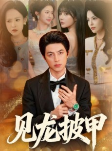 短剧《见龙披甲》70集短剧高清无广告免费看