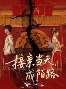 短剧《接亲当天成陌路》50集短剧蓝光画质无广告观看