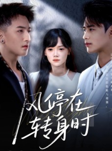 短剧《风停在转身时》72集短剧高清版手机在线观看