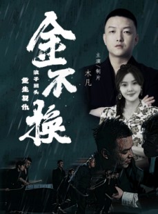 短剧《金不换》32集短剧手机移动端随时看