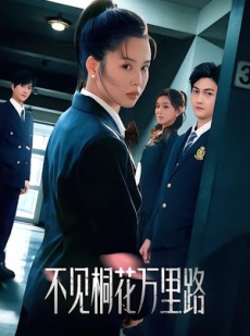 短剧《不见桐花万里路》71集短剧无广告高清免费观赏