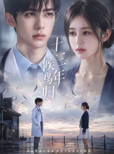 短剧《十三年，候鸟归》40集短剧超清全集在线免费品