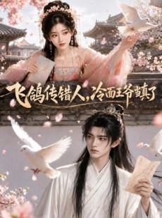短剧《飞鸽传错人，冷面王爷当真了》33集短剧畅享全集无广告观看