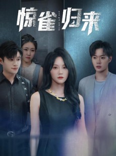 短剧《惊雀归来》45集短剧高清流畅在线免费观看