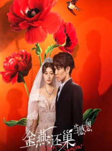 短剧《金燕还巢当感恩》55集短剧在线解锁全集免费观