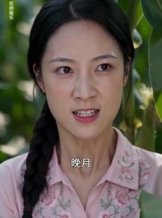 短剧《麦田喜事》44集短剧全集在线高清观看