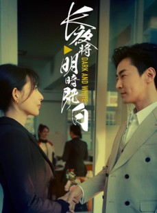 短剧《长夜将明暗既白》60集短剧4K超清画质在线免费追