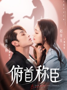 短剧《俯首称臣》72集短剧手机移动端专属观看